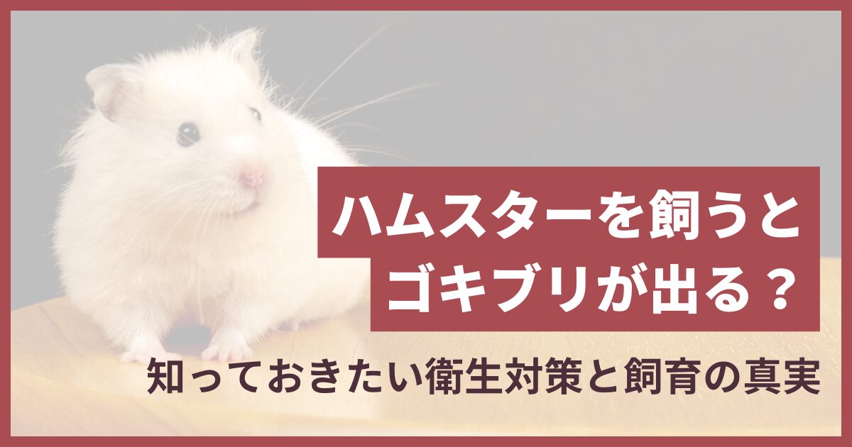 ハムスターを飼うとゴキブリが出る