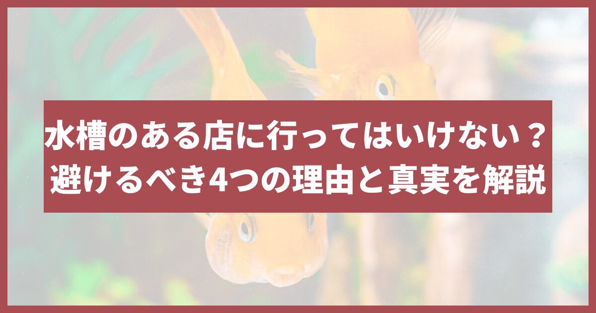 水槽のある店行ってはいけない なぜ