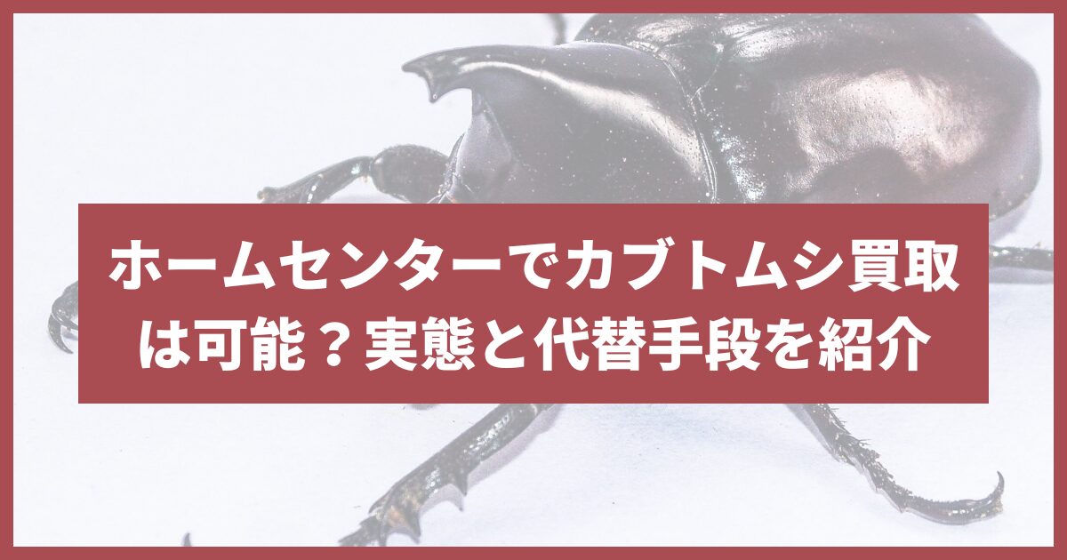 ホームセンター カブトムシ 買取