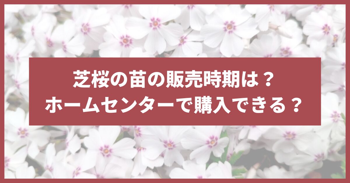 芝桜 販売時期 ホームセンター