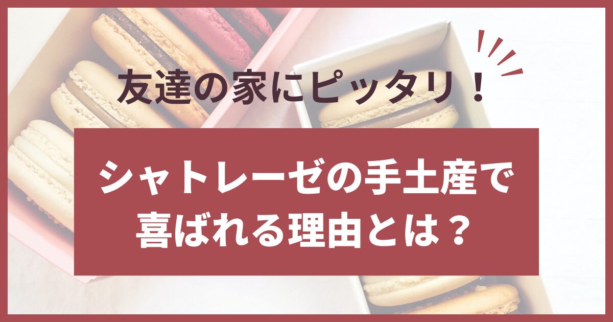 友達の家 手土産 シャトレーゼ