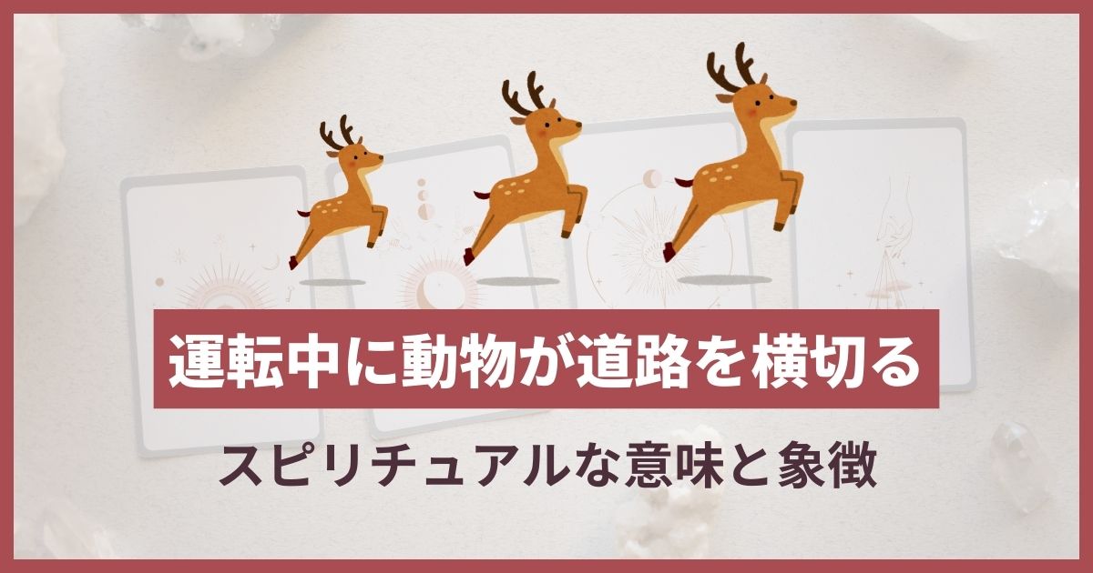 運転中 動物が横切るスピリチュアル